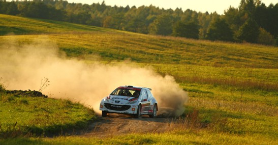Testy Karlsson i Ruty